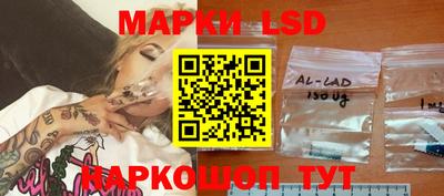 крисы Моздок