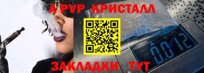крисы Моздок