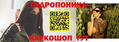 крисы Моздок