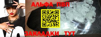 крисы Моздок