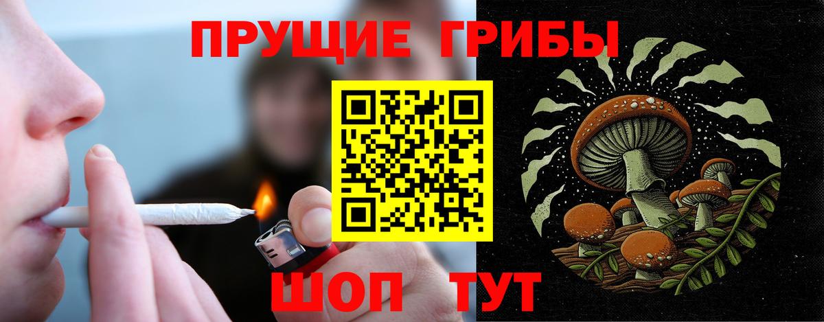 Галлюциногенные грибы Psilocybine cubensis Вичуга