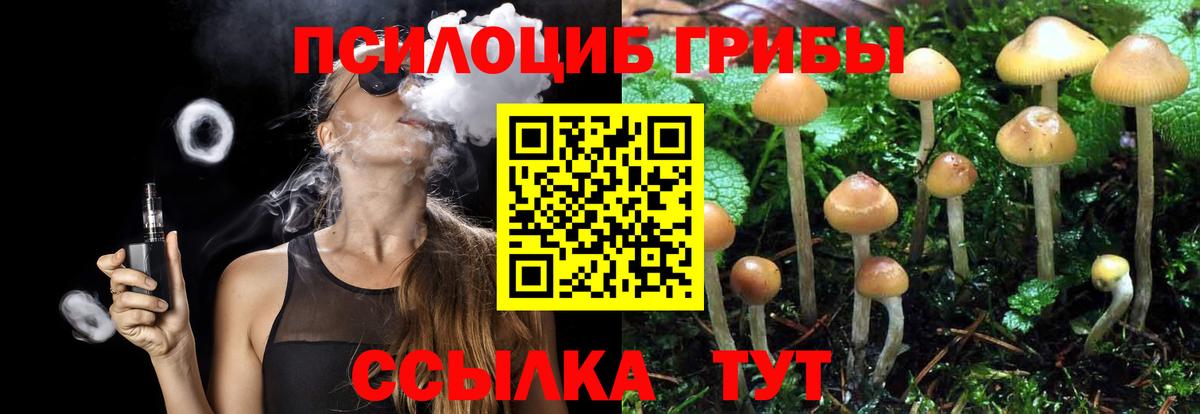 Галлюциногенные грибы Magic Shrooms  Вход с VPN  Вичуга 